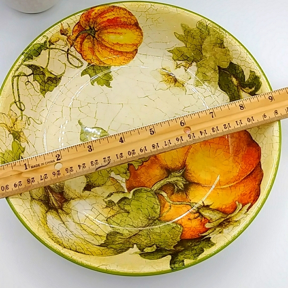 Pier 1 Autumn Pumpkin & Squash Large Bowl - Picture 4 of 6